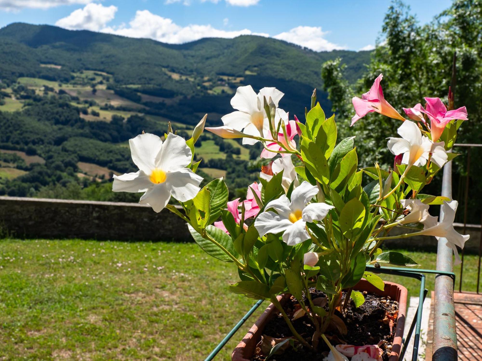 Agriturismo Villaggio Eden Pieve Santo Stefano Exterior photo